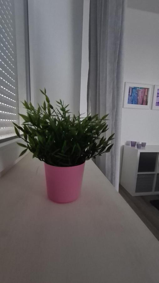 Appartement Lavendel, Ferienwohnung Mit Eigenem Eingang Wie Ein Kleines Haus บาดซัลซูเฟลน ภายนอก รูปภาพ